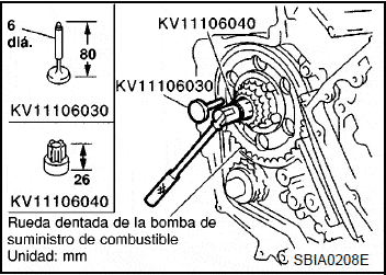 Rueda Dentada